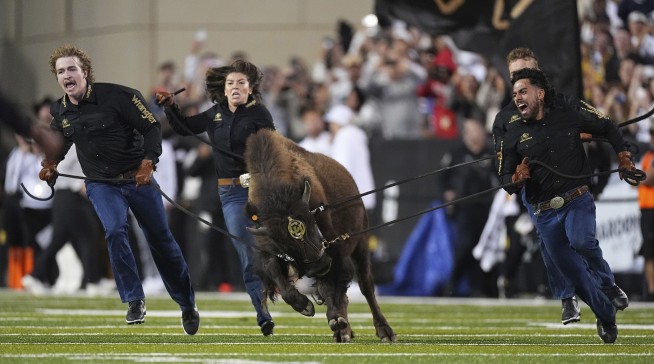 Colorado's New Mascot Scores in Her Debut