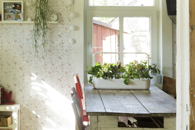 Can't Remember to Water Your Plants? There's an App for That