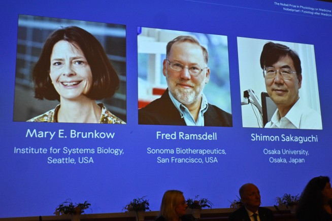 Nobel in Medicine Honors Immune System Research