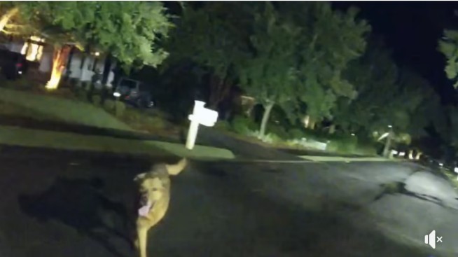 Dog Leads Cop Right to Missing Elderly Woman