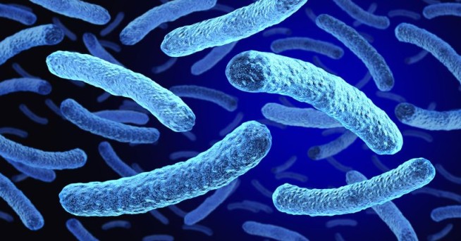 Agency Warns That Superbugs Are Outpacing Antibiotics