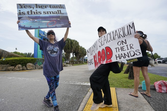 Seaquarium Hosts Last Visitors After Years of Accusations