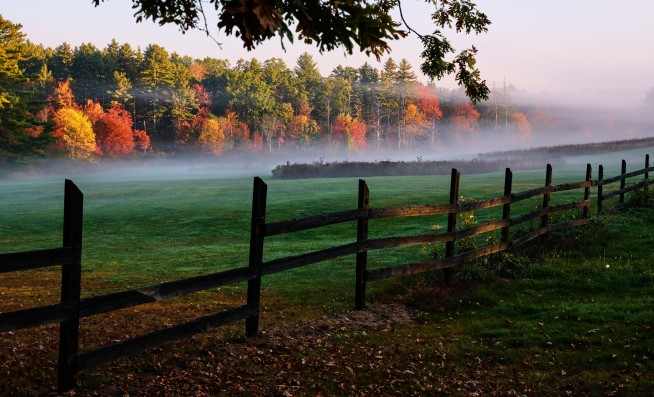 Drought Is Coming for Leaf-Peepers