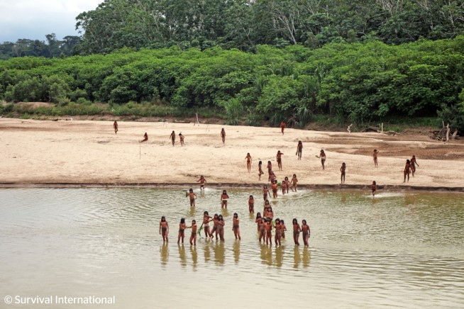 'Silent Genocides' Could Wipe Out 100 Groups in 10 Years