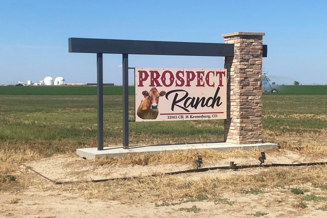 Toxic Gas Killed the 6 Who Died at Colorado Dairy Farm