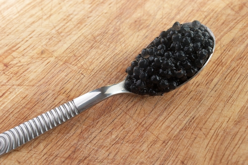 Milan's Poor Get Contraband Caviar for Xmas
