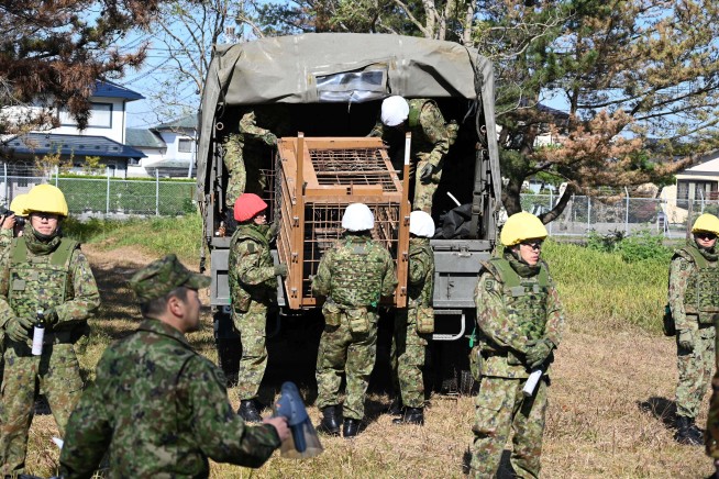 After Bears Kill 12 in 6 Months, Japan Sends In the Troops