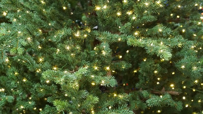 It'll Cost You More to Deck the Halls This Year