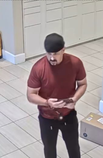 California Cops: Suspect Is Backstreet Boys Lookalike