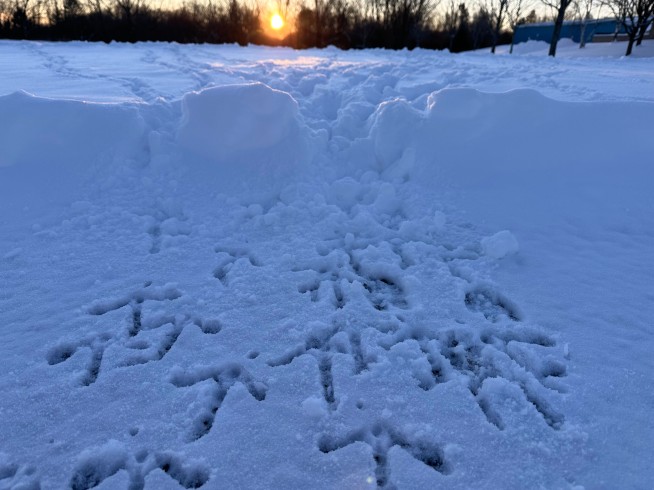 Snow Rolls Into Midwest, With Northeast Due Up Next