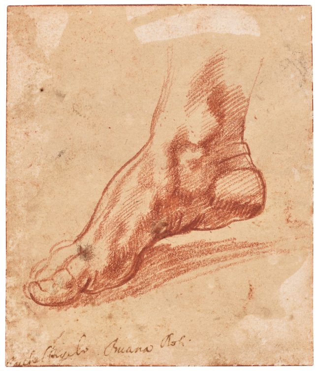 Tiny Drawing of a Foot Is a Big Michelangelo Find