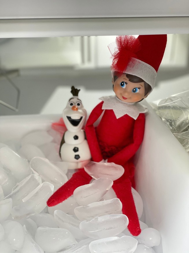 Santa's Little Spy, Elf on the Shelf, Turns 20