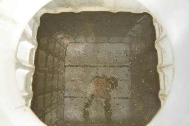 PFAS-Tainted Water May Triple Risk of Infant Death