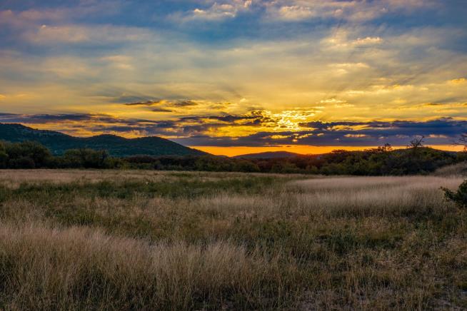 Online Spat Leads to Unlikely $1B Parks Deal in Texas