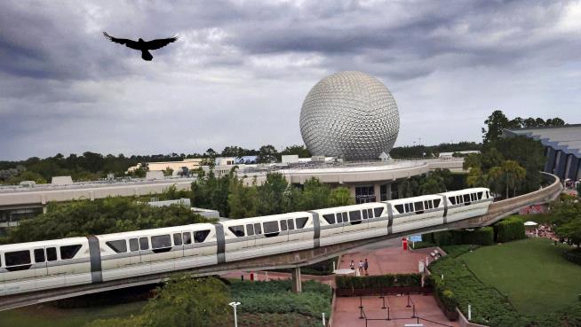 Disney Grapples With Epcot's 'Drink Around the World' Trend
