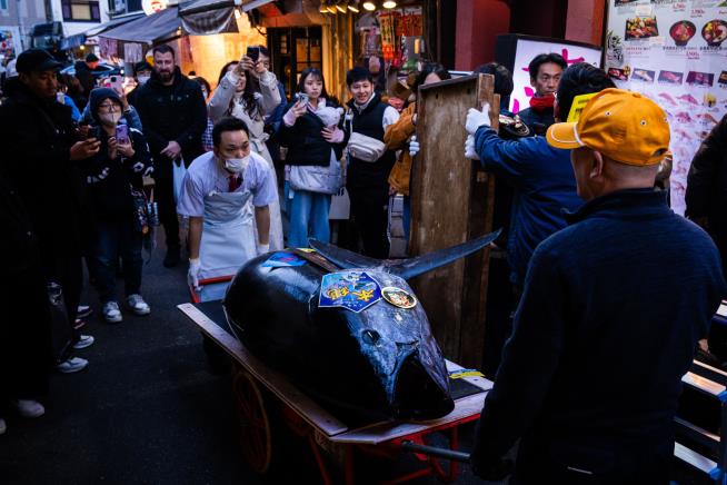 $3.2M Tuna Shatters Japan's Auction Record