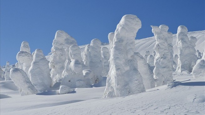 How Mount Zao's Famous Snow Monsters Came to Be