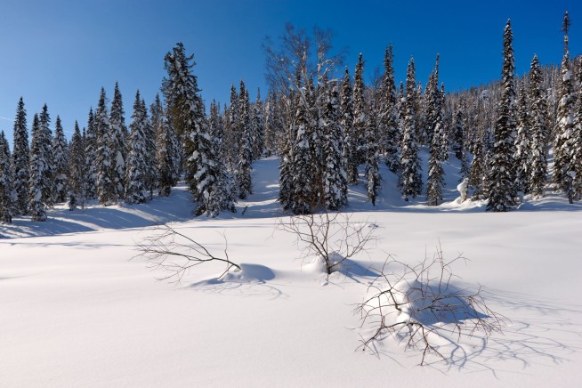 One of Russia's Last 'Old Believers' Still Lives in Siberia