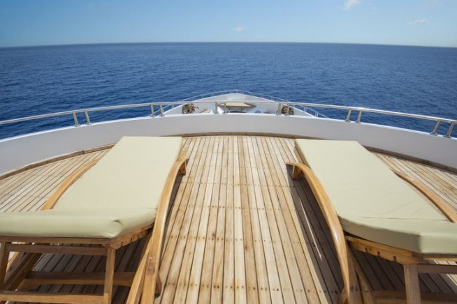 Yacht Makers Have a Teak Problem