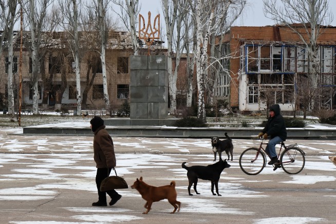 Ukraine's Abandoned Dogs Are Turning Wild