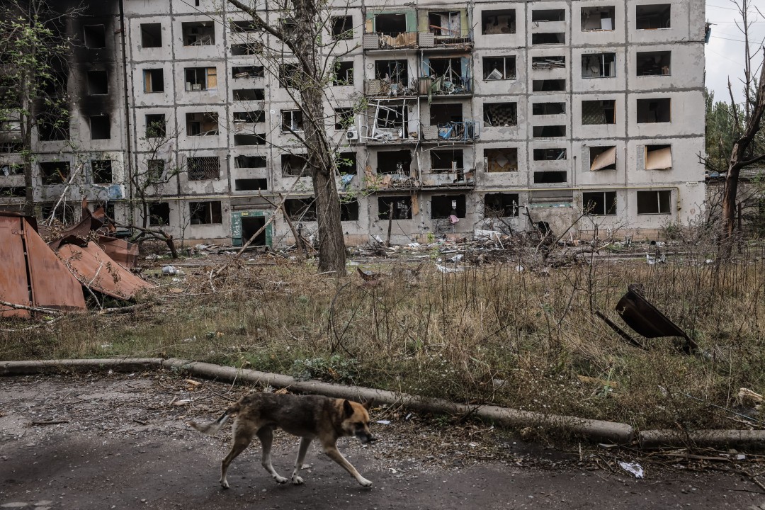 War in Ukraine Exposes Natural Selection in Dogs
