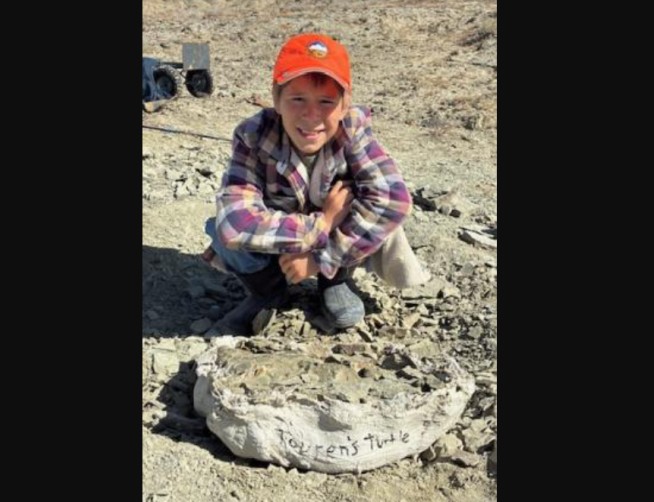 Rock-Hunting Boy Finds and Names 48M-Year-Old Fossil