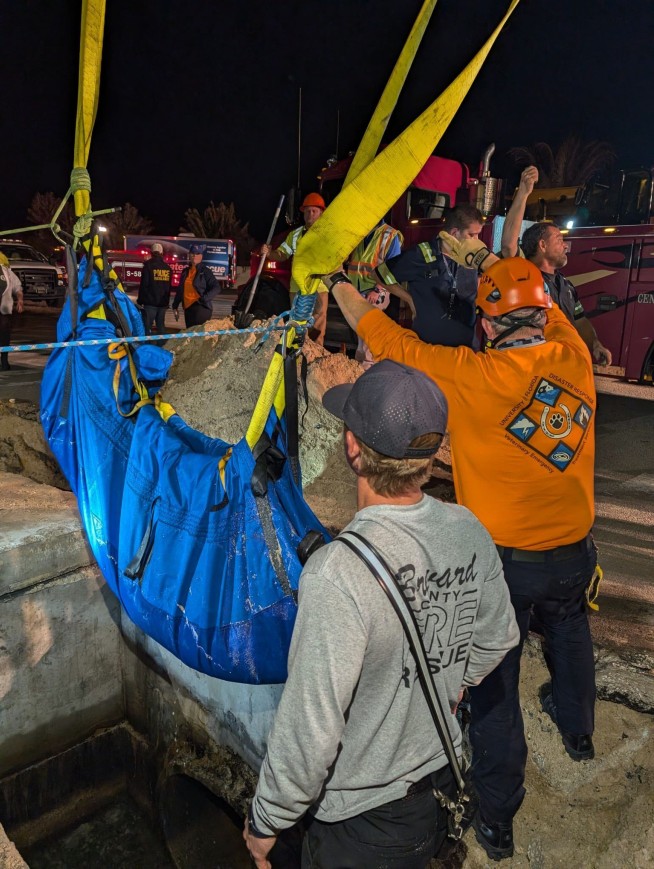 410-Pound Manatee Rescued From Florida Storm Drain
