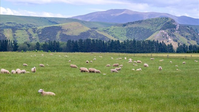 New Zealand's Tweaked 'Golden Visa' Rules Are Working