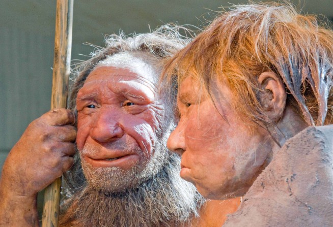 Scientists Find a New Wrinkle in Neanderthal-Human Mating
