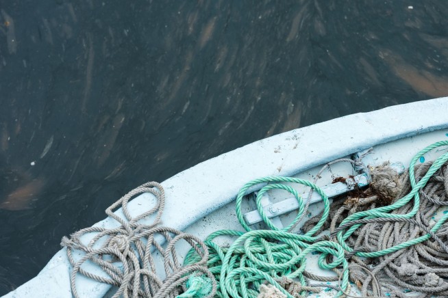 Deadliest Catch Deckhand Dies at Sea During Filming