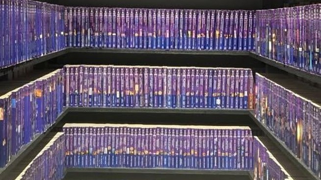 She Owns 2K Romance Novels, Is Looking to Sell