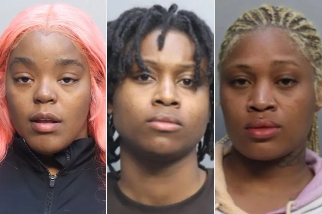 Cops Arrest 3 in Viral Airport Dustup Over Baggage Fee