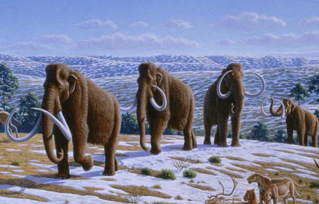 Comet Might Not Have Killed Mammoths After All: Study