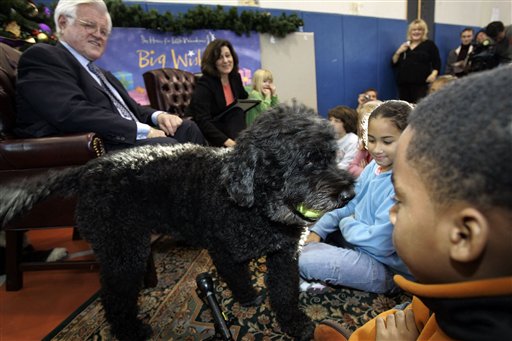 Labradoodle Fans, Relax: Obamas Still Undecided