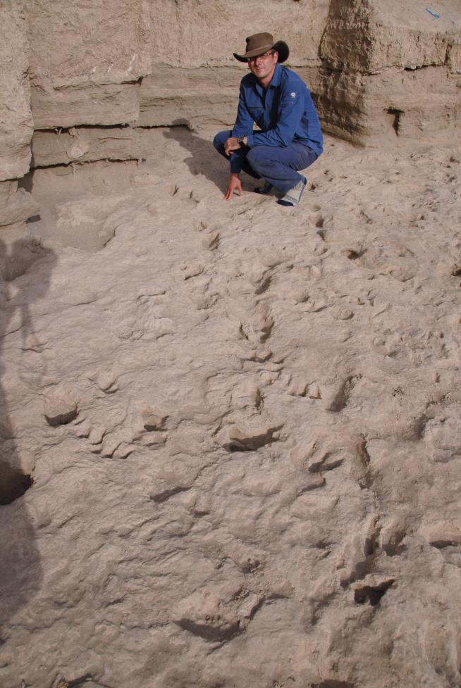 Ancient Footprints Reveal Path to Humanity