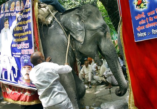 India's Rampaging Elephants Become Election Issue
