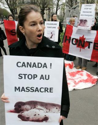 Hey Canada, Stop Slaughtering This Guy