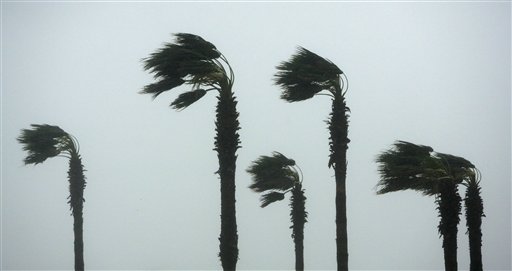 Palm Tree Blazes Baffle Texas Officials