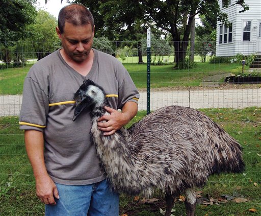 Wal-Mart's Low Prices Even Attract Wayward Emus