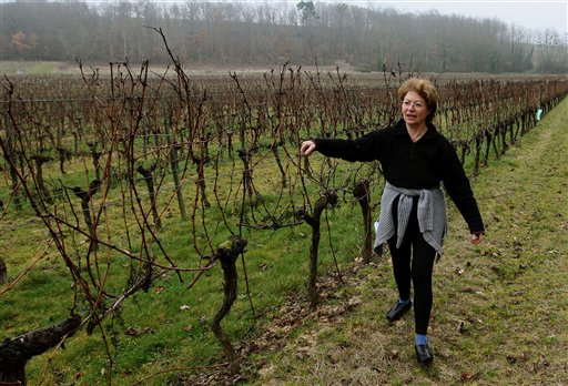 Chinese Sow Stakes in French Wine Country