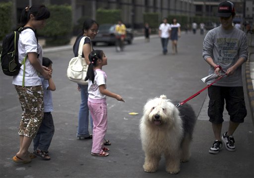 1-Dog Rule Gnaws on Chinese
