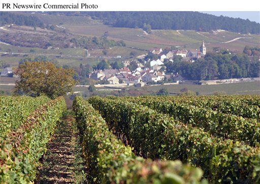 French Wines Wither Under Climate Change