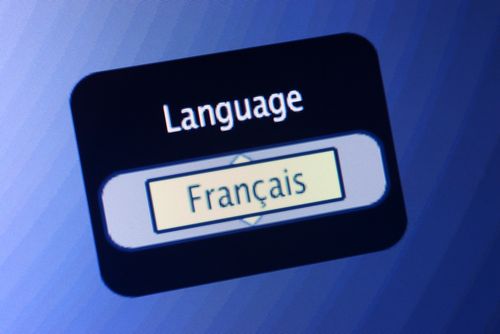 Après Le Deluge: French Battle Anglo Terms in Web Age