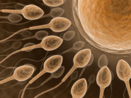 Wife Allergic to Husband's Sperm Plans to Adopt