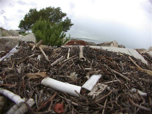 Cigarette Butts Are Toxic Waste: Study