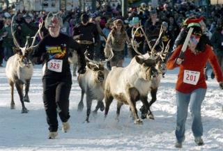 Rudolph Is Female, and Other Crazy Reindeer Facts