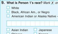 'Negro' Box on 2010 Census Raises Ire