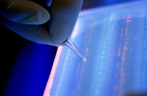 Rights to Human Gene Patents Go on Trial