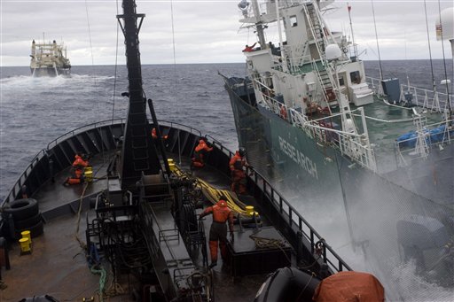 Whaler, Activist Ship Collide Off Antarctica