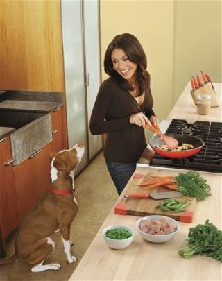 Rachael Ray's Pit Bull May Be Put Down